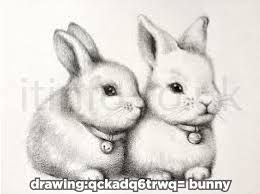 Drawing:qckadq6trwq= Bunny