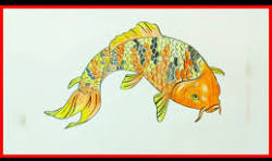 drawing:4o7kwxpryiy= fish